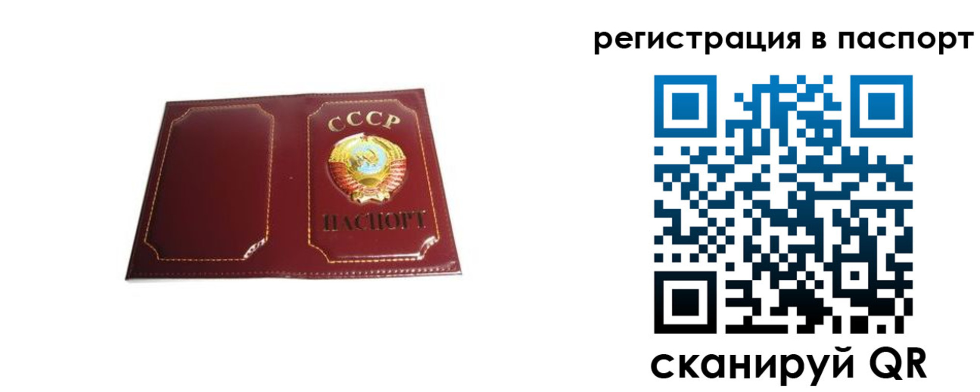 прописка 2025 в Кыштыме